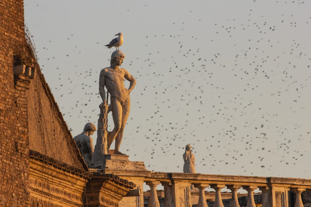 Piazza Venezia in Rome