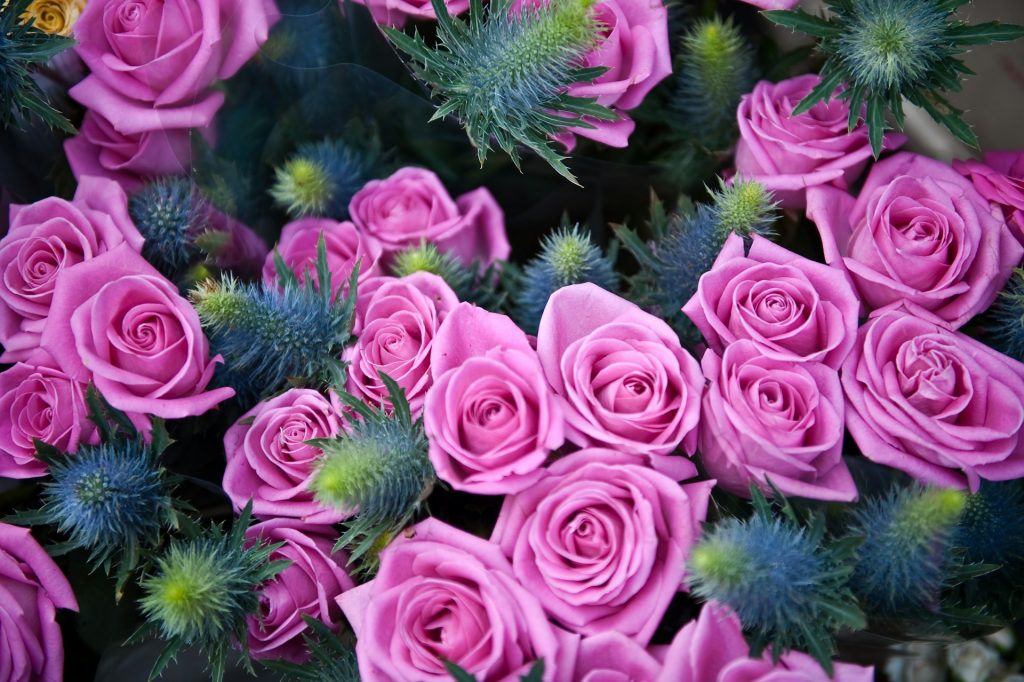 Columbia Road Flower Market
