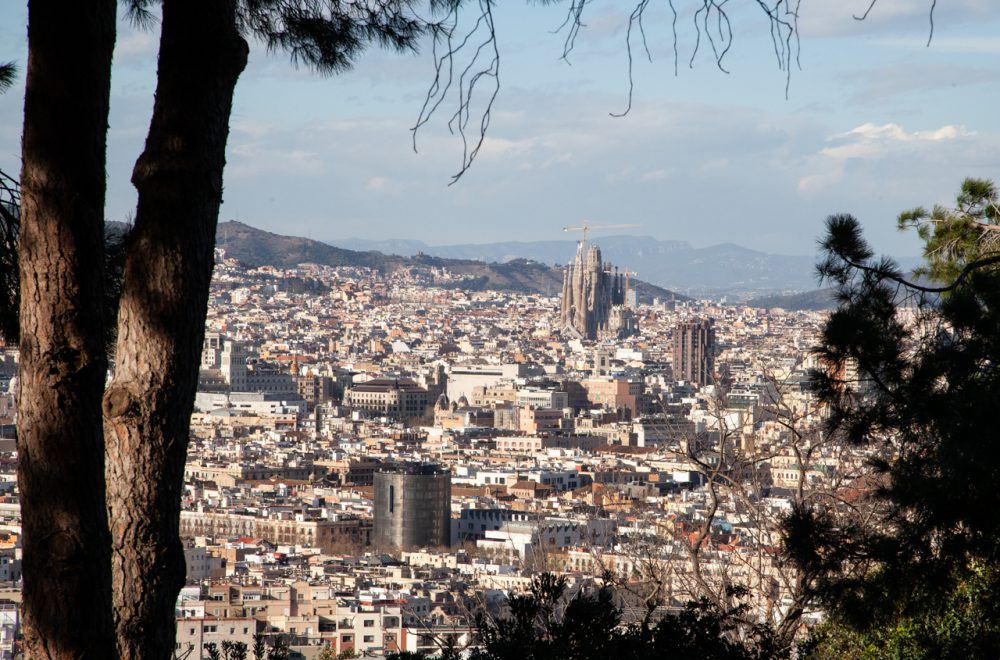 Montjuic tour with guests (12)