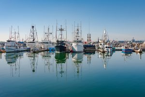Tuna Fishing Boats in Harbor - Morning