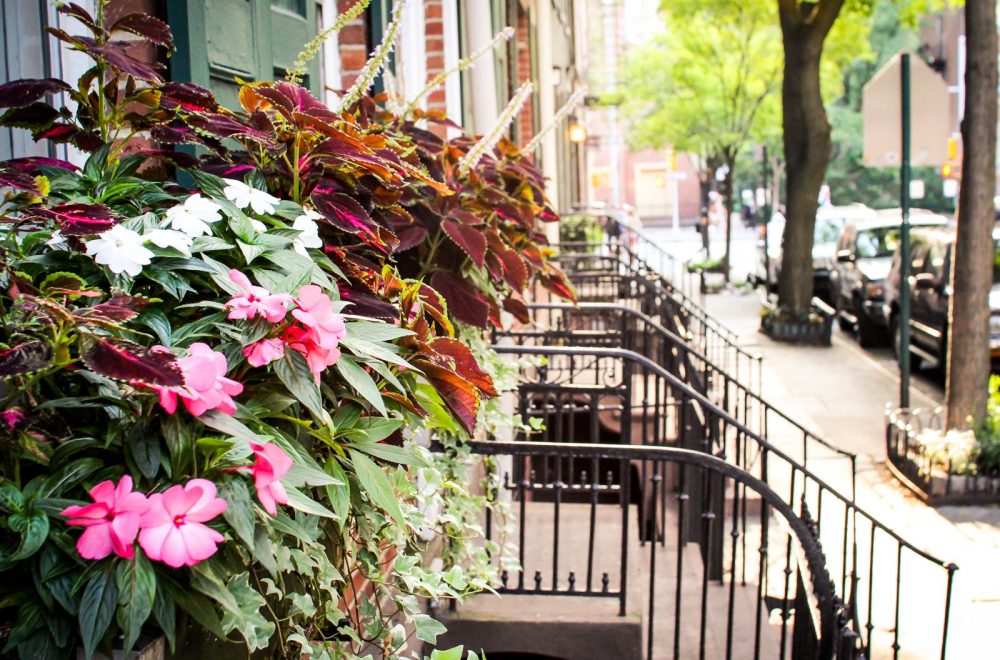 greenwich-village (7)