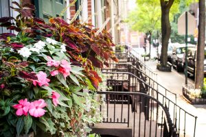 greenwich-village (7)