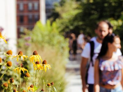 Private High Line and Chelsea Walking Tour
