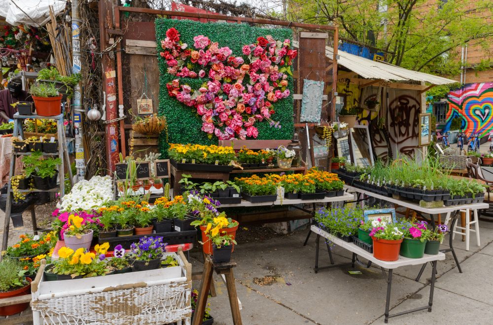 Plants and flowers on Brooklyn, Bronx, Queens Bus Tour