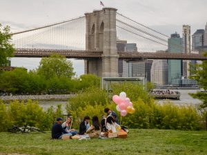 Scenic park shot on Brooklyn, Bronx, Queens Bus Tour