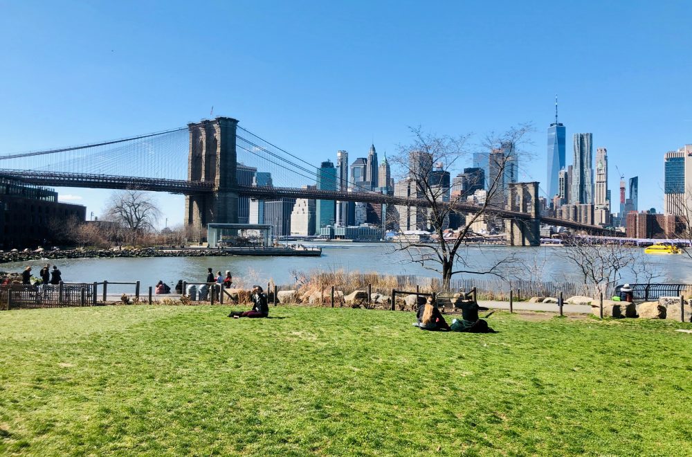 People enjoying Manhattan in a sunny field of grass from Dumbo, Brooklyn