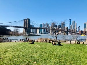 People enjoying Manhattan in a sunny field of grass from Dumbo, Brooklyn