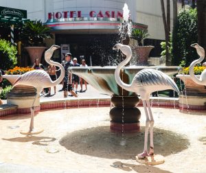 Flamingo Gardens during Mid-Strip Tour in Las Vegas