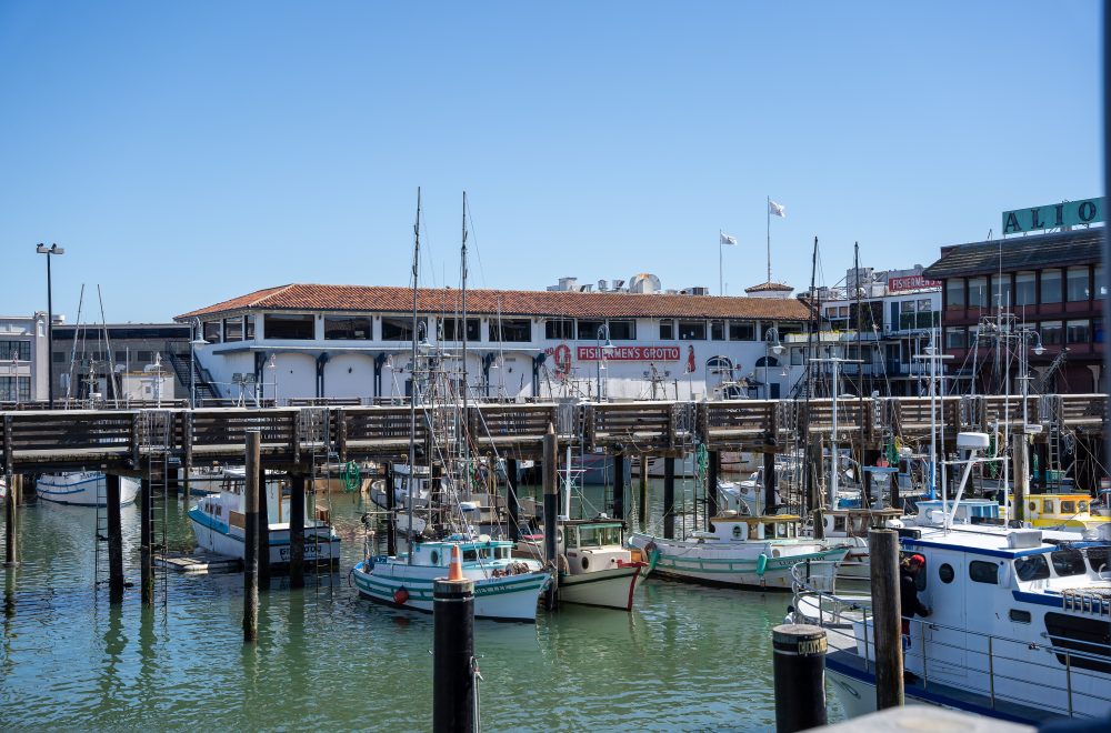 View of Wharf during Fisherman_s Wharf tour