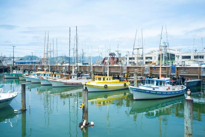 san-francisco-fishermans-wharf-and-sausalito-walking-tour-2