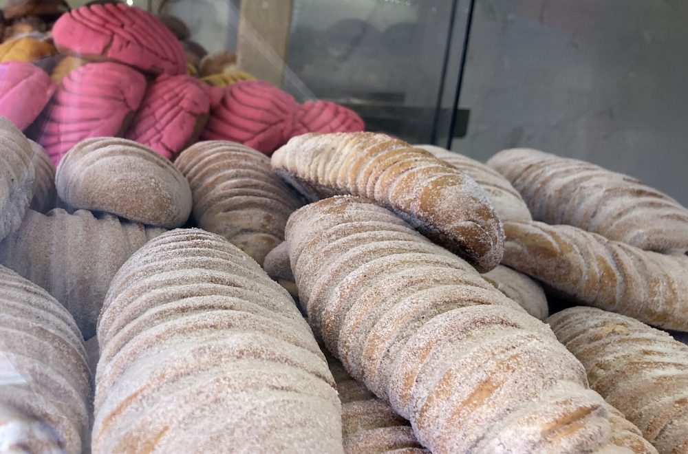 Concha pastries in Mexican bakery on SF food tour