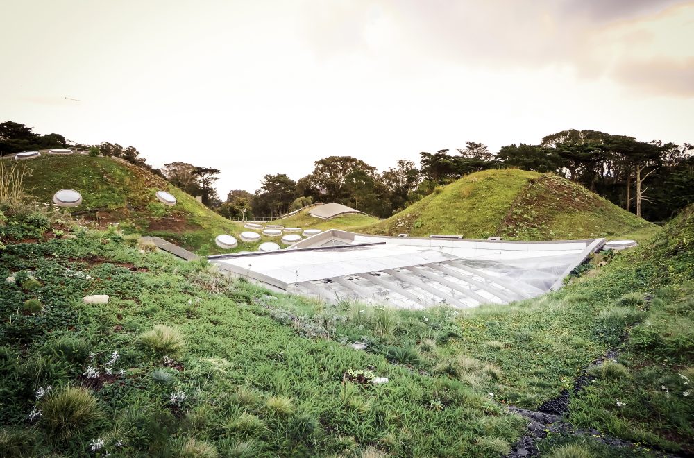California Academy of Sciences Living Roof