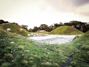 California Academy of Sciences Living Roof