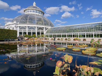 Conservatory interior courtyard with pool in New York Botanical Garden