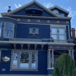 Painted Ladies