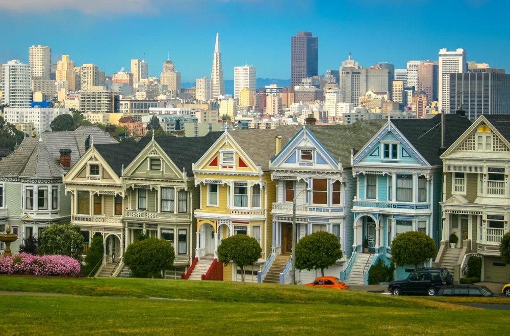 Painted Ladies