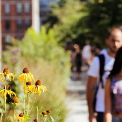 High Line and Chelsea Walking Tour